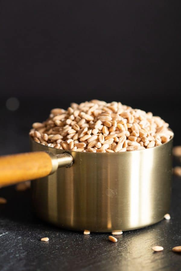 raw farro in a golden measuring cup