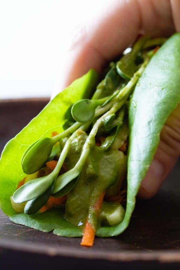 Folded chicken lettuce wrap close up