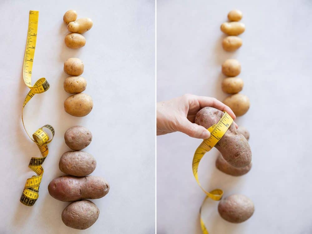 Showing differen sized potatoes and measuring circumference of one with measuring tape. instant pot boiled potatoes